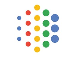 Google AI Overview
