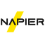 Napier logo – AI-powered anti-money laundering and financial crime compliance platform